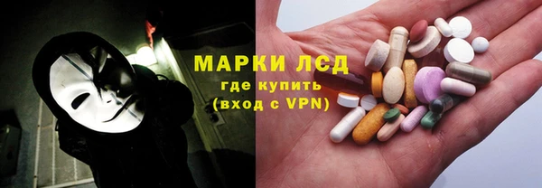 стаф Алексин