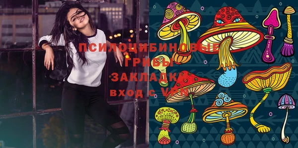 стаф Алексин