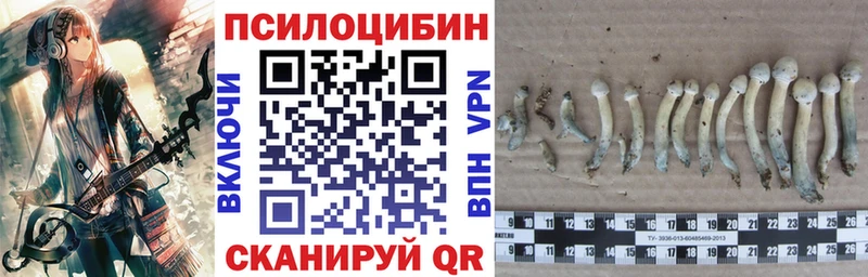 маркетплейс официальный сайт  Бокситогорск  Псилоцибиновые грибы мицелий 